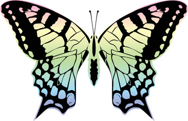 Butterfly with Colorful Wings Vector Illustration