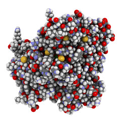 Phosphodiesterase 5 (PDE5) enzyme. Inhibition of this enzyme is the mechanism of action of sildenafil, tadalafil and vardenafil, used to treat erectile dysfunction.