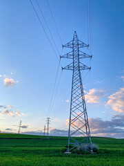 torres electricidad campos de trigo en primavera