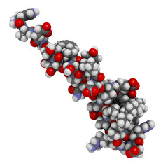 Liraglutide peptide drug molecule. Agonist of the glucagon-like peptide-1 receptor used in treatment of diabetes and obesity.