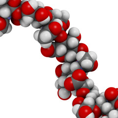 Hyaluronan (hyaluronic acid, hyaluronate) glycosaminoglycan molecule, short fragment. Part of extracellular matrix. 