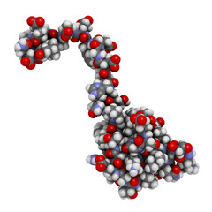 Hirudin protein molecule. Anticoagulant protein from leeches that prevents blood clotting by inhibiting thrombin. Topically used in treatment of hematoma.