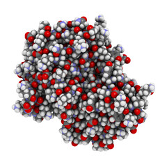 Beta-lactamase enzyme from Staphylococcus aureus. Responsible for resistance against penicillin and related antibiotics.