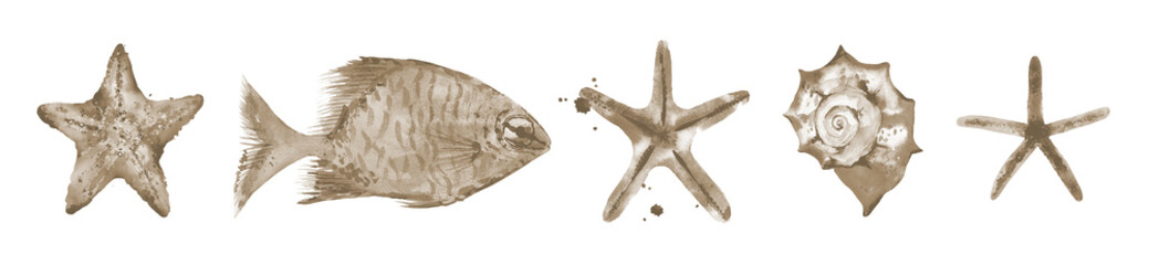 Sea Creature Design. Watercolour Marine Shell illustration isolated on white background.