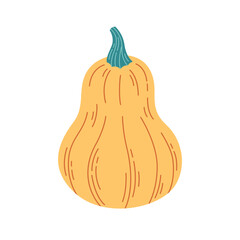 Pumpkin, gourd. Hello autumn, autumn harvest, farming. Vegetable. Hand drawn vector illustration