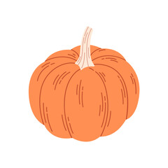 Pumpkin, gourd. Hello autumn, autumn harvest, farming. Vegetable. Hand drawn vector illustration