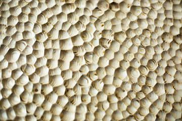 Wooden texture. Wood carving. Cut holes on surface.