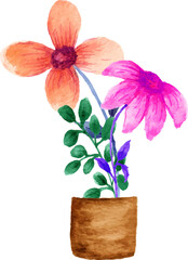 pink flower in a flowerpot
