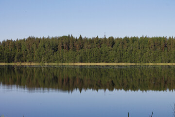  Reflection of the forest in the lake on a sunny day. Nice scenic view. Summer season.