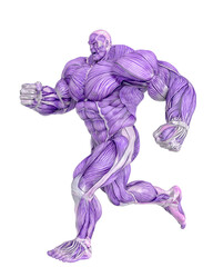 muscle maps of a strong man running on side view