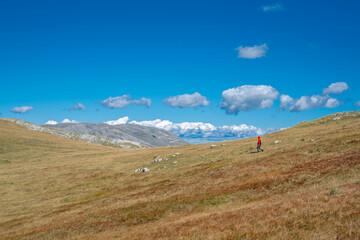 Hiker walking along a path through a field of dried blueberries with the Observatory, the highest peak of the Bjelasnica mountain, in the background