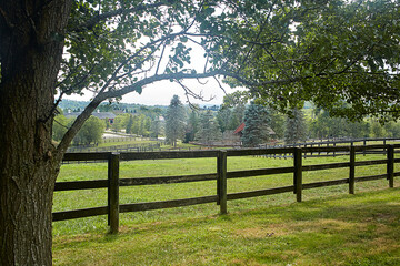 Country landscape with dark wooden fence before fresh green field