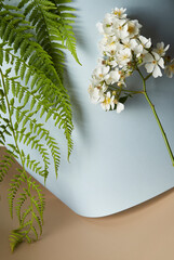 Natural white flowers and green ferns leaning on a soft blue backdrop. 