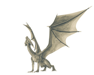 Fototapeta premium dragon side view