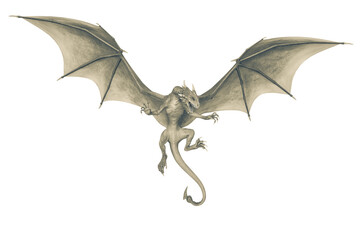Fototapeta premium dragon
