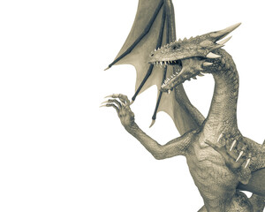 Fototapeta premium dragon