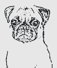Adorable Pug puppies, portrait on a white background. 8 bit retro style vector illustration.