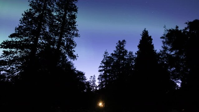 Aurora Borealis Purple Above Winter Forest Camp Northern Lights