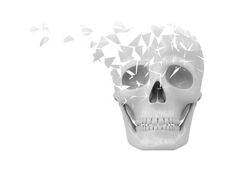 Skull scattered on white background. 3D illustration.