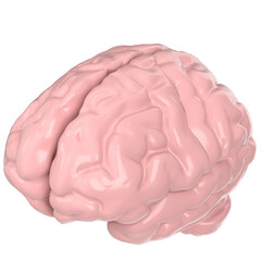 3d rendering illustration of a human brain