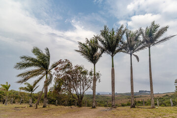 Fototapeta premium natural landscape in the city of Catas Altas, State of Minas Gerais, Brazil