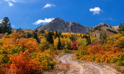 Snow basin recreation area, with colorful fall foliage in foreground and Mt Ogden peak in the background.