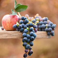 Autumn fruit still life, red apple, and yellow purple grapes on old wooden table.
