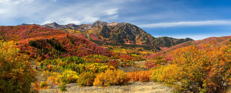 Snow basin landscape in Utah. Brilliant fall foliage around Mt Ogden peaks.