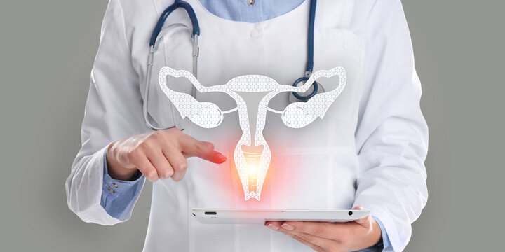 Doctor holding modern tablet and virtual image of uterus on grey background, closeup