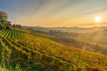 Poster Verbazingwekkend herfstlandschap in de Langhe, het beroemde wijngaardgebied in Piemonte, Italië © Stefano Zaccaria