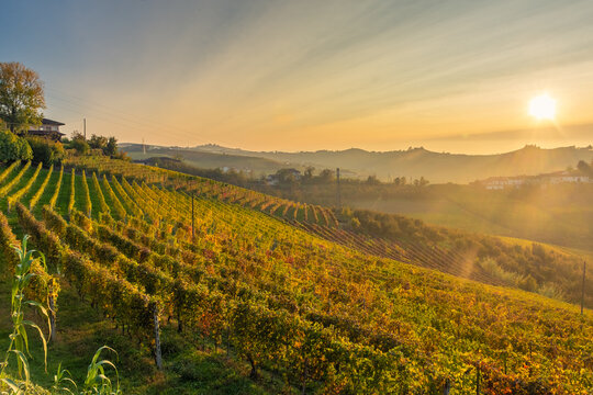 Amazing autumnal landscape in the Langhe, famous vineyard area in Piedmont Italy