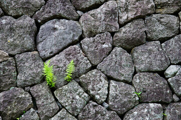 stone wall texture