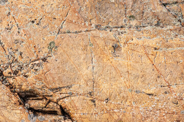 Background: aged and weathered red granite with viens, cracks and glacial scarification, also lichen.  Shot on a Georgian Bay Island.
