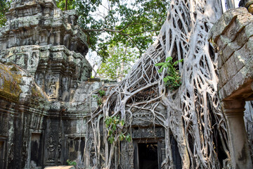 Tree roots hugging the Khmer building. Ta Prohm was a Buddhist temple dedicated to the mother of Jayavarman VII and originally known as Rajavihara (Monastery of the King), Cambodia