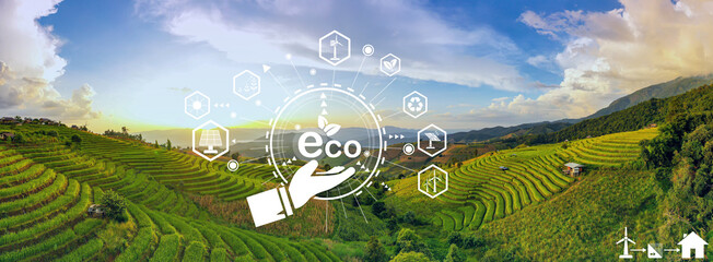 Environmental protection, ecology concept horizontal banner with Sunlight at the twilight of rice farm landscape on Pa bong piang terraced rice fields background.