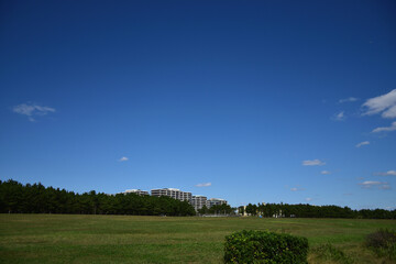開放感あふれる公園