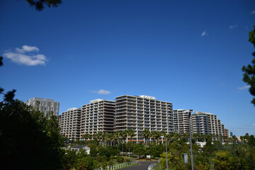 開放感あふれる公園