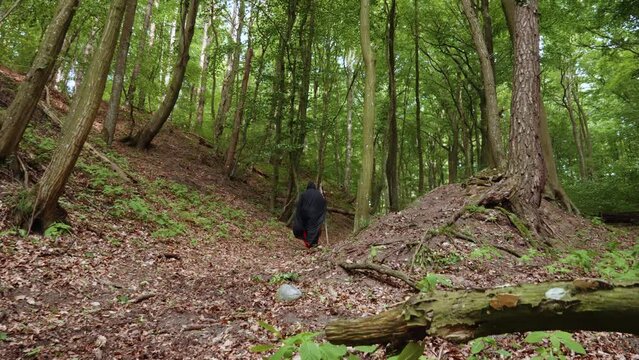 Rear View Of A Grim Reaper In Black Hooded Cloak Clutching A Scythe Walking In The Forest. - low angle
