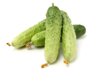 Green cucumber on the white background