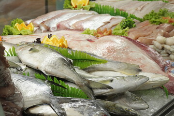 Peixe Cru / Frutos do Mar /  Seafood