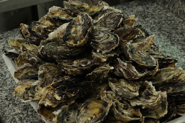 Ostras Crua / Raw Oysters