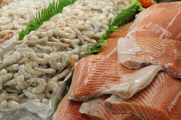 Peixe Salmão / Salmon Fish