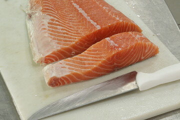 Peixe Salmão / Salmon Fish