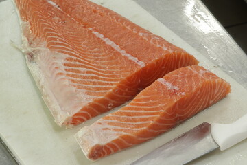 Peixe Salmão / Salmon Fish