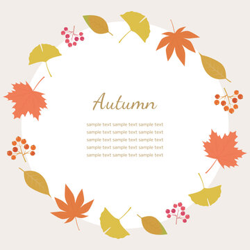 秋イメージの背景素材　秋の植物　正方形