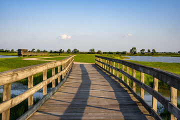 Fototapeta premium wooden bridge over the river