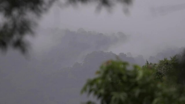 the moisture of the mountains