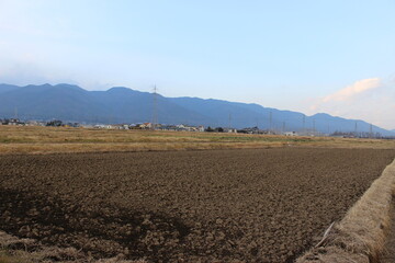 Rice fields and agriculture in rural Japan