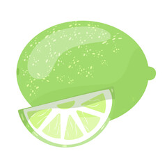 Fresh lime fruit. Green lime slice, vector illustration. Vector illustration for design and print.