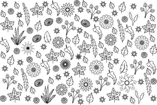 Abstract flower line pattern background.